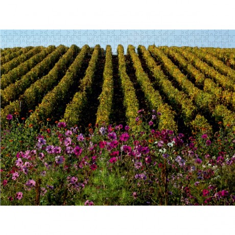 CALVENDO Puzzle CALVENDO Puzzle Weinberge im Herbst Пазл CALVENDO Puzzle Виноградники осенью