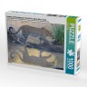 CALVENDO Puzzle CALVENDO Puzzle Leopard auf Pirschgang am Talek River Пазл CALVENDO Puzzle Леопард на сафари на реке Талек