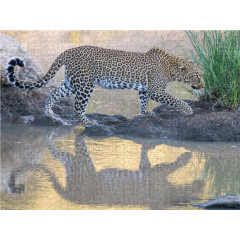 CALVENDO Puzzle CALVENDO Puzzle Leopard auf Pirschgang am Talek River Пазл CALVENDO Puzzle Леопард на сафари на реке Талек