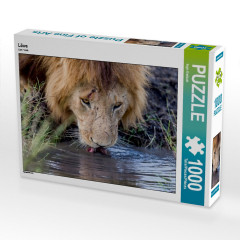 CALVENDO Puzzle CALVENDO Puzzle Lowe Пазл CALVENDO Puzzle Lowe