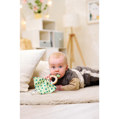 Eichhorn Baby HIPP Greifling Игрушка для захвата Baby HIPP