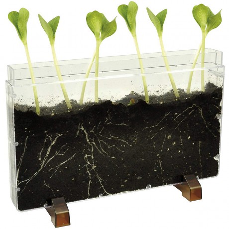 Eduplay Wurzelhaus Wurmfarm червячная ферма корневого дома