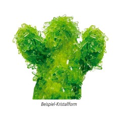 Die Spiegelburg Kristalle selber zuchten Kreativ-Box Вырасти свои собственные кристаллы Креативная коробка