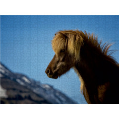 CALVENDO Puzzle CALVENDO Puzzle Beautiful Nature Пазл CALVENDO Puzzle Красивая Природа