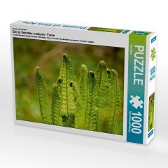 CALVENDO Puzzle CALVENDO Puzzle Die im Schatten wachsen Пазл CALVENDO Puzzle Что растет в тени