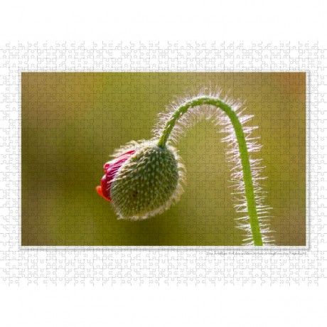 CALVENDO Puzzle CALVENDO Puzzle Emotionale Momente: Die Blumenwiese. \/ CH-Version Пазл CALVENDO Пазл Эмоциональные моменты: Цветочная поляна. \/ версия CH