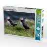CALVENDO Puzzle CALVENDO Puzzle Papageientaucher auf der Insel Papey Пазл CALVENDO Puzzle Puffins на острове Папей