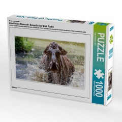 CALVENDO Puzzle CALVENDO Puzzle Emotionale Momente: Europaischer Elch Part II Пазл CALVENDO Puzzle Emotional Moments: European Moose Part II