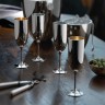 Robbe & Berking Robbe & Berking Dante Bar-Kollektion - 90 g versilbert Champagnerkelch Robbe &amp; Berking Dante Bar Collection - Бокал для шампанского с серебряным покрытием 90 г