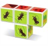 Geomag Magicube 121 Insects Magicube 121 Насекомые