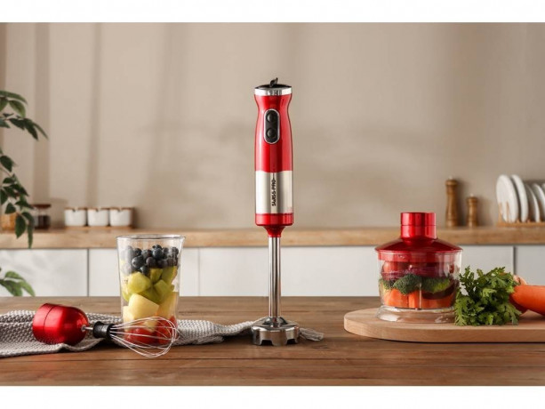 SWISS PRO+ SWISS PRO+ Stabmixer 3-in-1 Stabmixer Edelstahlstab Perfekt fur die Kuche, 700,00 W  Погружной блендер SWISS PRO+ Ручной блендер 3-в-1 с палочкой из нержавеющей стали — идеально подходит для кухни, 700,00 Вт