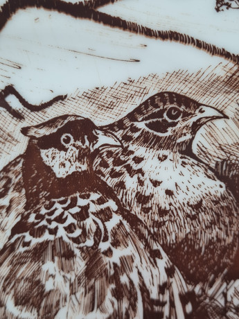 Тарелка декоративная Inglazed Czechoslovakia, белый фарфор с рисунком в коричневых тонах "Птицы", 24,5 x 3 см, Чехословакия, 1970-80гг.