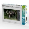 CALVENDO Puzzle CALVENDO Puzzle Emotionale Momente: Europaischer Elch Part II Пазл CALVENDO Puzzle Emotional Moments: European Moose Part II