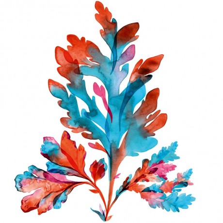 Yves Rocher Pure Algue Skin Oxygen Feuchtigkeitsmaske Кислородная увлажняющая маска Pure Algue Skin