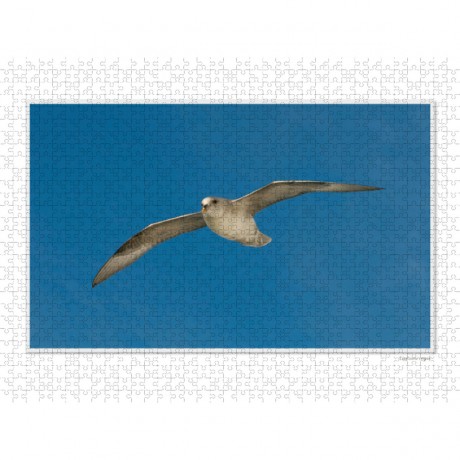 CALVENDO Puzzle CALVENDO Puzzle Emotionale Momente: Die Tierwelt der Arktis \/ CH-Version Пазл CALVENDO Puzzle Emotional Moments: The Animal World of the Arctic / CH version