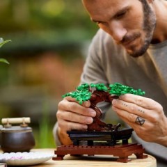 LEGO LEGO Creator Expert 10281 Bonsai Baum LEGO Creator Expert 10281 Дерево бонсай