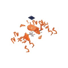 Edu-Toys Solarbetriebener Krebs Solarmodell Солнечная модель краба на солнечных батареях