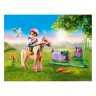 PLAYMOBIL PLAYMOBIL 70514 Sammelpony Islander PLAYMOBIL 70514 Коллекция Пони-островитянин