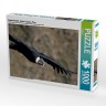 CALVENDO Puzzle CALVENDO Puzzle Andenkondor Пазл CALVENDO Puzzle Андский кондор