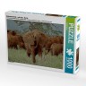 CALVENDO Puzzle CALVENDO Puzzle Elefantenherde : nah dran. Kenia Пазл CALVENDO Пазл стадо слонов: крупным планом. Кения