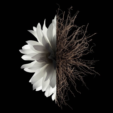 Givenchy The Body Milk Молочко для тела