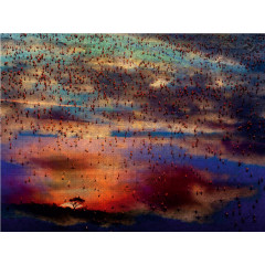 CALVENDO Puzzle CALVENDO Puzzle Emotionale Momente: African Dreams Пазл CALVENDO Puzzle Emotional Moments: African Dreams