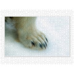 CALVENDO Puzzle CALVENDO Puzzle Emotionale Momente: Der Eisbar. \/ CH-Version Пазл CALVENDO Пазл Эмоциональные моменты: ледяной бар. \/ версия CH