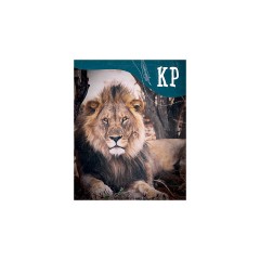 Coppenrath Verlag Schachtelspiel коробка игра