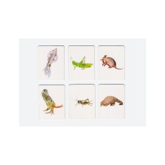 Laurence King Verlag Finde meinen Doppelganger Найди моего двойника