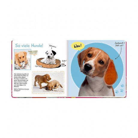 Coppenrath Verlag Fuhl mal hier Почувствуй себя здесь