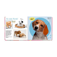 Coppenrath Verlag Fuhl mal hier Почувствуй себя здесь