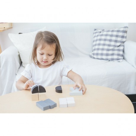 PLANTOYS Motorik Essential Serie: Formen legen Motorikspielzeug Серия «Основы двигательных навыков»: сборка фигур для игрушек