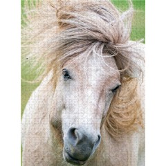 CALVENDO Puzzle CALVENDO Puzzle Sturmfrisur Пазл CALVENDO Пазл шторм прическа