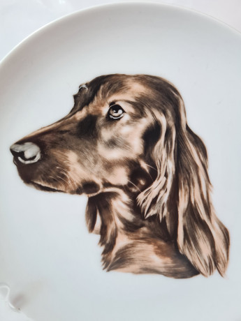 Декоративная тарелка AK Kaiser, белый фарфор с изображением собаки в коричневых тонах, 19,5 x 2,5 см, Германия, 1960-70гг.