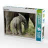 CALVENDO Puzzle CALVENDO Puzzle Kleiner Elefant Пазл CALVENDO Пазл Маленький слоненок