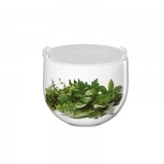 ASA SELECTION ASA Grande Vorratsdose mit PE-Deckel Krauter d: 9,5 cm / h: 8 cm Банка для хранения трав ASA Grande с полиэтиленовой крышкой d: 9,5 см / высота: 8 см