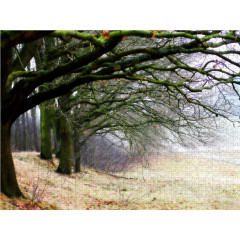 CALVENDO Puzzle CALVENDO Puzzle Weyerberg \/ Worpswede Пазл CALVENDO Puzzle Weyerberg / Worpswede