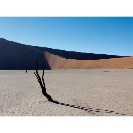 CALVENDO Puzzle CALVENDO Puzzle Vertrocknete Baume im Deadvlei Пазл CALVENDO Puzzle Сухие деревья в Deadvlei