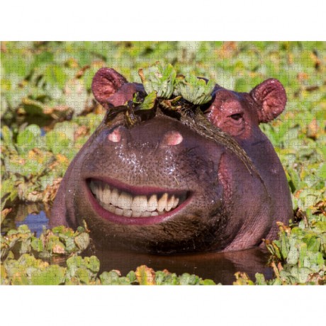 CALVENDO Puzzle CALVENDO Puzzle Emotionale Momente: Lachen ist gesund. Пазл CALVENDO Пазл Эмоциональные моменты: Смех полезен.