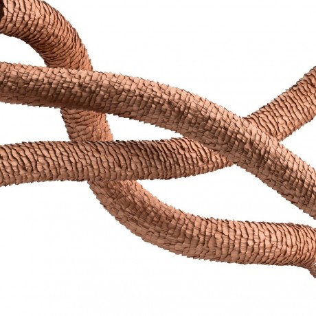 Schwarzkopf Professional Shampoo  шампунь