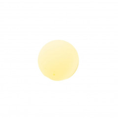 Charlemagne Premium Bartol Lombardian Revenge  Бартол ломбардская месть