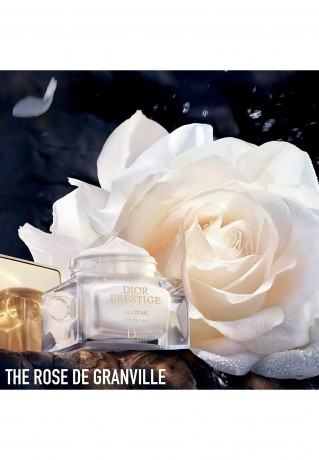 DIOR DIOR PRESTIGE LE CONCENTRE YEUX Wimpernpflege transparent DIOR PRESTIGE LE CONCENTER YEUX уход за ресницами