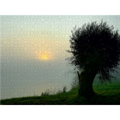 CALVENDO Puzzle CALVENDO Puzzle Sonne des Herbstes Пазл CALVENDO Пазл осеннее солнце