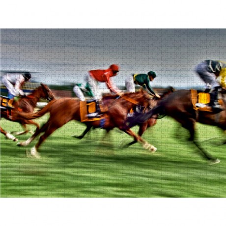 CALVENDO Puzzle CALVENDO Puzzle Jules Пазл CALVENDO Пазл Жюль