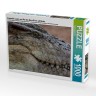 CALVENDO Puzzle CALVENDO Puzzle Krokodile lauern am Ufer des Mara-River auf Beute. Пазл CALVENDO Puzzle Крокодилы подстерегают добычу на берегах реки Мара.