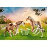 PLAYMOBIL PLAYMOBIL 71000 2 Island Ponys mit Fohlen PLAYMOBIL 71000 2 исландских пони с жеребятами