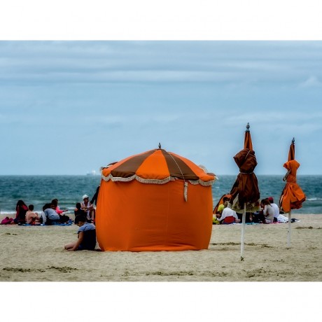 CALVENDO Puzzle CALVENDO Puzzle Am Strand Пазл CALVENDO Пазл На пляже