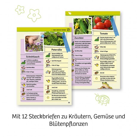 Kosmos Mein erstes Gewachshaus Моя первая теплица