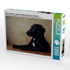 CALVENDO Puzzle CALVENDO Puzzle Hazel Пазл CALVENDO Пазл Хейзел