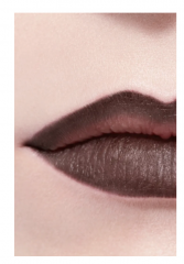 CHANEL Le Crayon a Levres Lippenkonturenstift, Карандаш для губ с формулой сверхдлительной фиксации, новая коллекция сезона осень/зима 2024, 204 BRUN FONCE